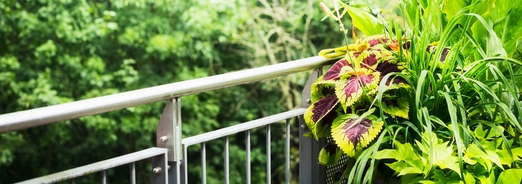 Jardiner sur son balcon : des solutions simples à appliquer