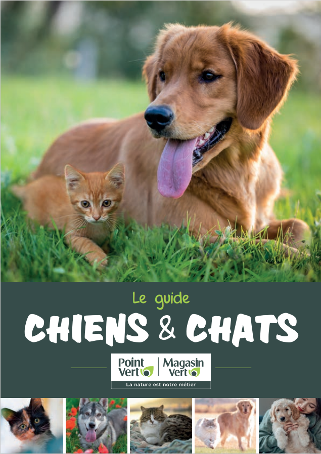 Guide chiens chats