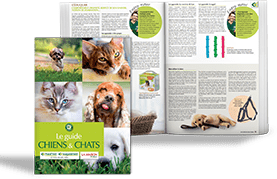 Guide chiens-chats