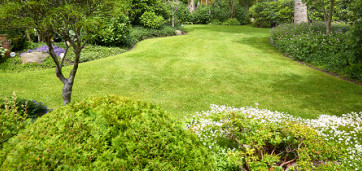 jardin vert avec arbustes et pelouse bien taillée