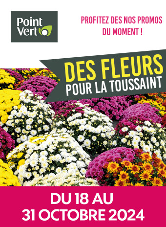 Des fleurs pour la Toussaint