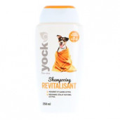 shampooing revitalisant yock pour chien