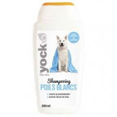 shampooing pour poils blancs chien yock