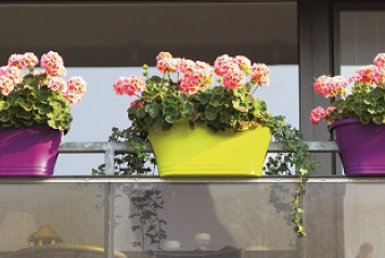 pots de fleurs sur un balcon